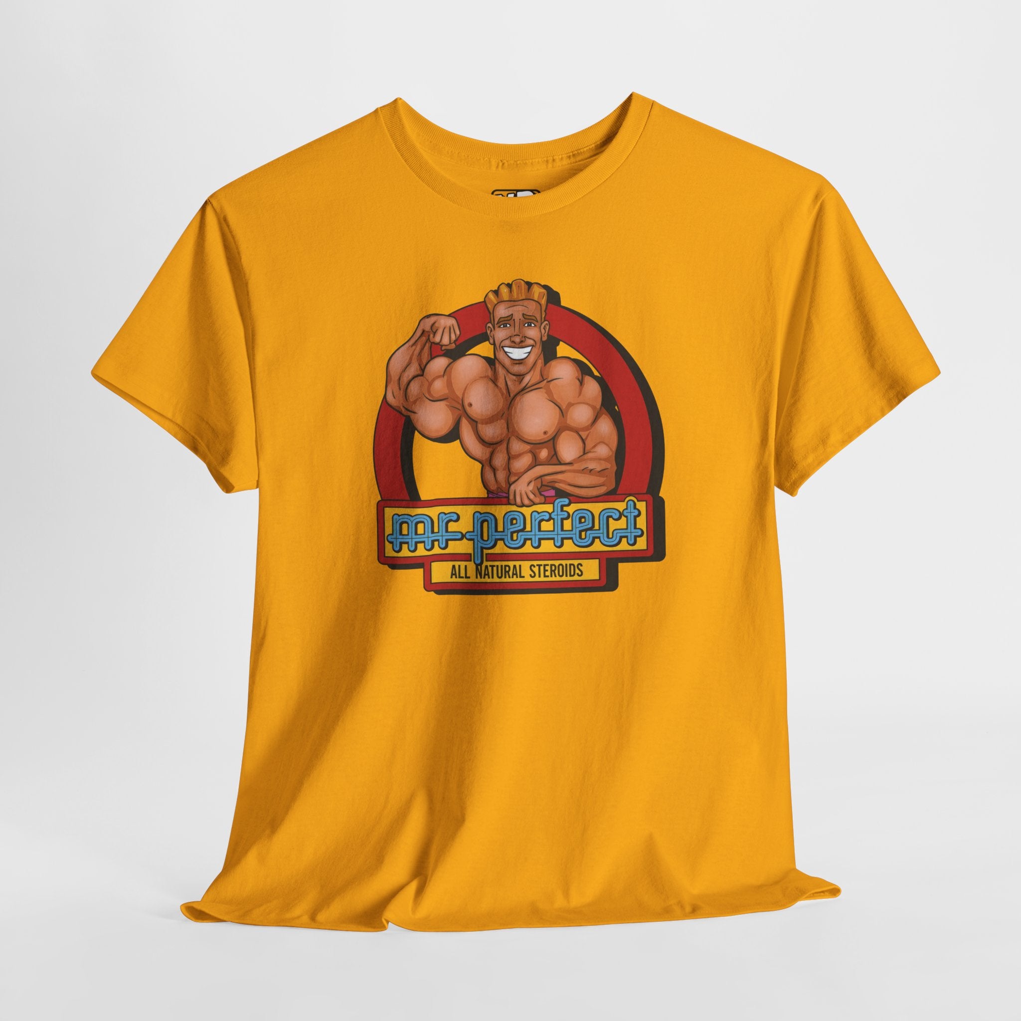 Hill Valley 2015 Mr Perfect logo Tee